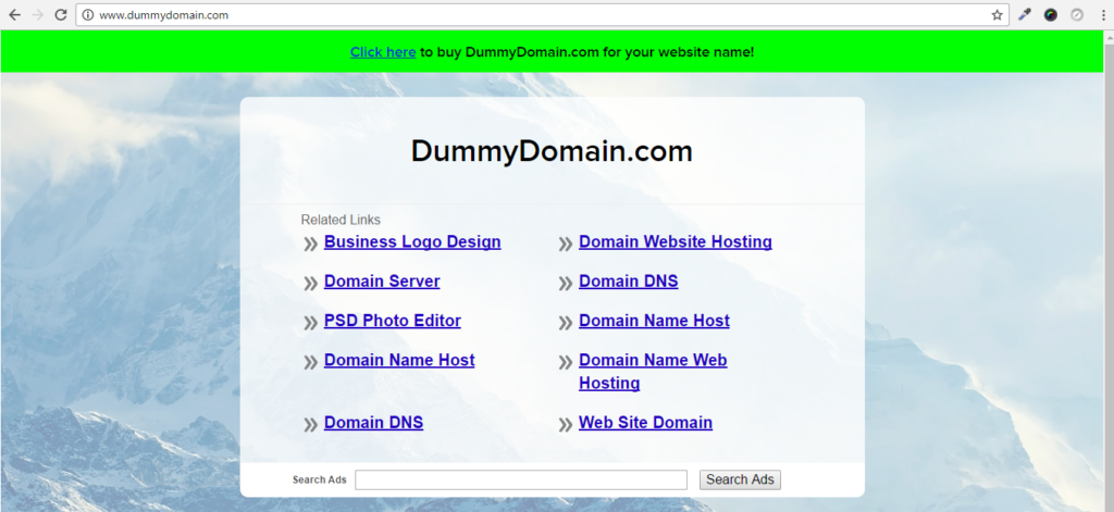 dummy dns