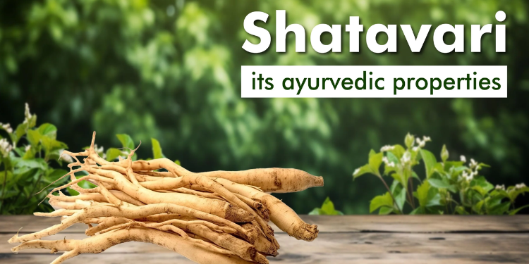 Dr. Satya Rapelli Ayurveda Therapy