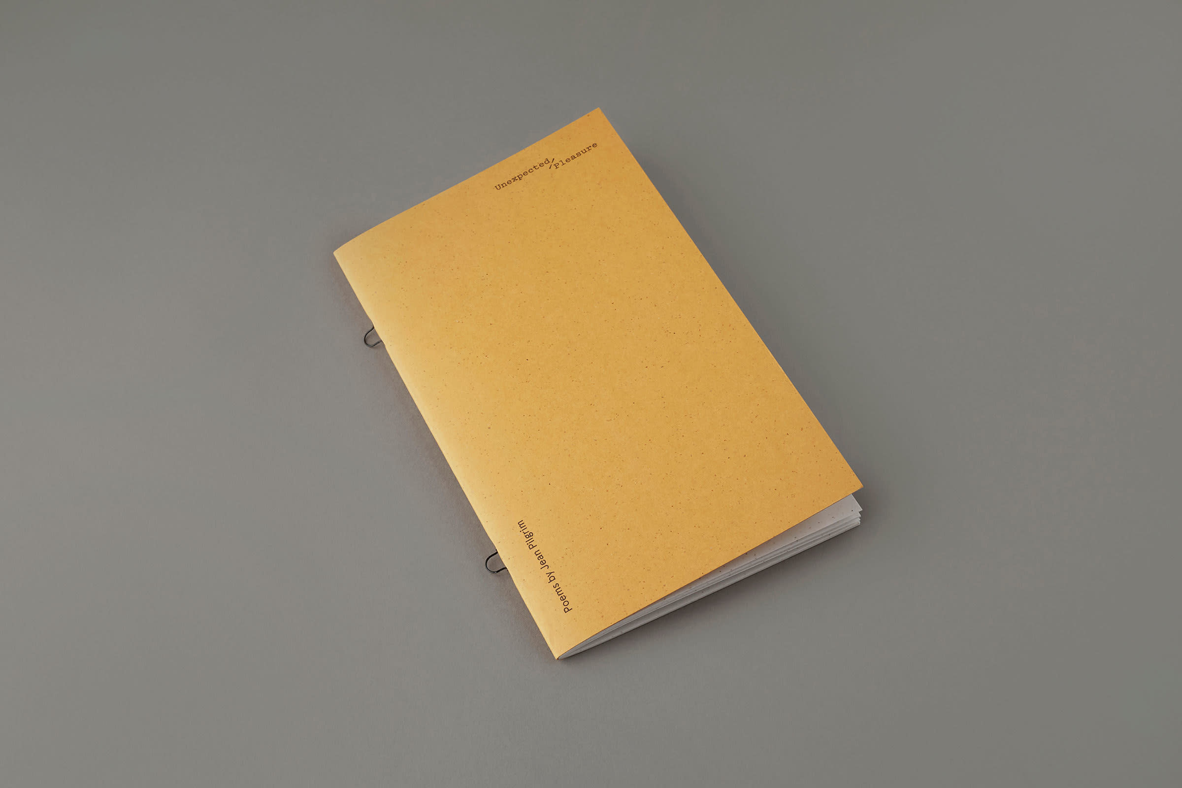 saul studio — Unexpected Pleasure