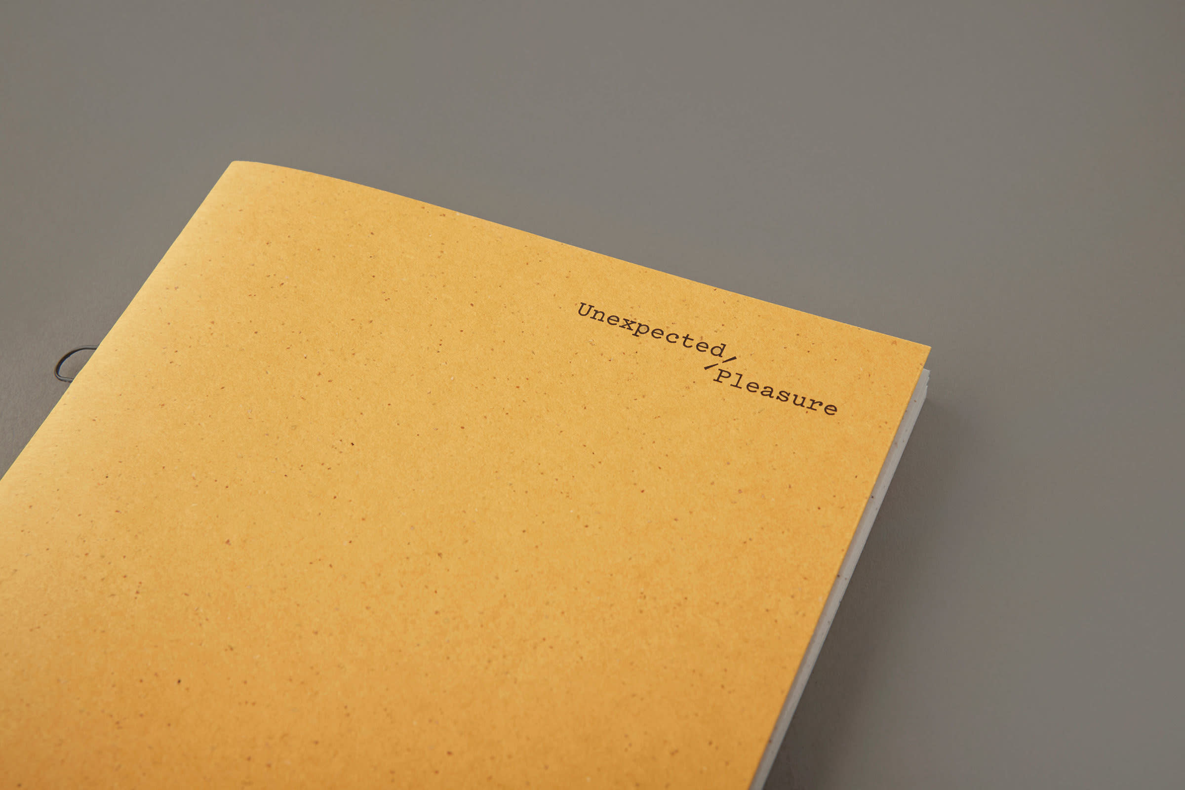 saul studio — Unexpected Pleasure