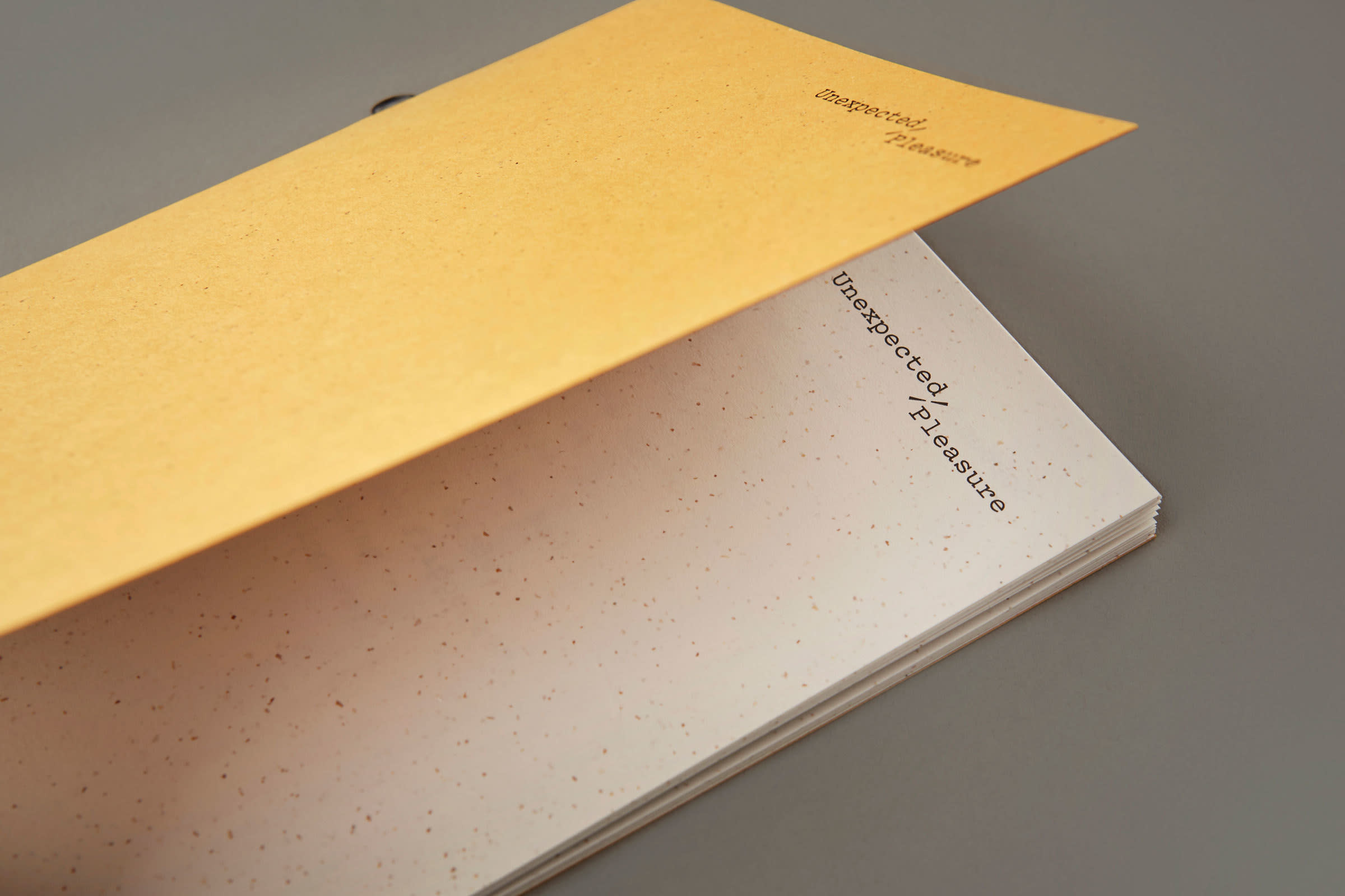 saul studio — Unexpected Pleasure