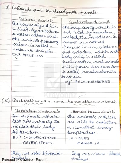 Animal Kingdom (Part 3) | Biology (Class 11, NEET) Animal Kingdom (Part 3) | Biology (Class 11, NEET)