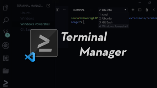 Cover image of Terminal Manager