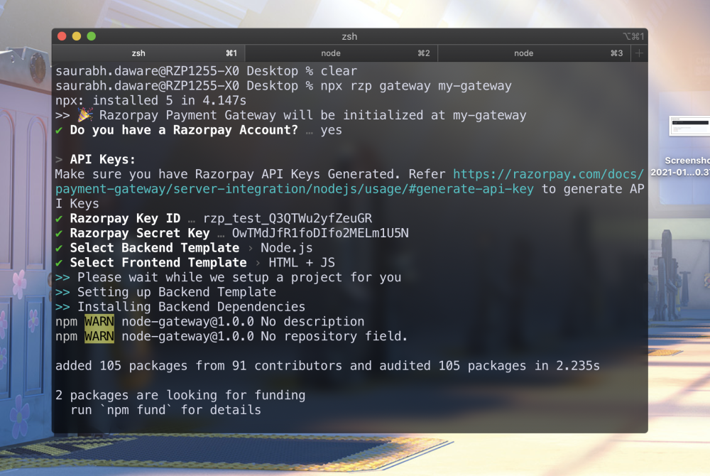 npm.io Typing above command then entering razorpay api id then running the code to see output with pay button which opens razorpay payment widget