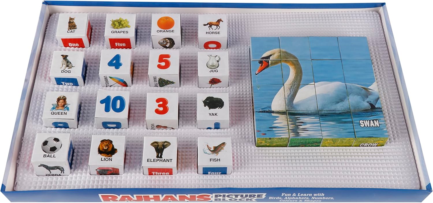 Educational Rajhans Bird Blocks