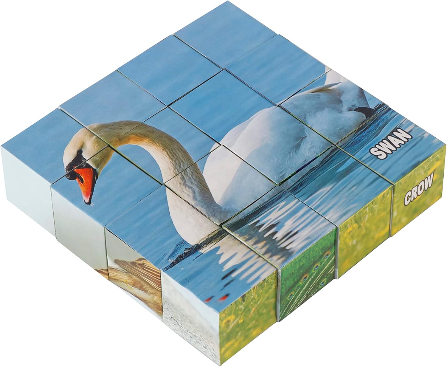 Educational Rajhans Bird Blocks