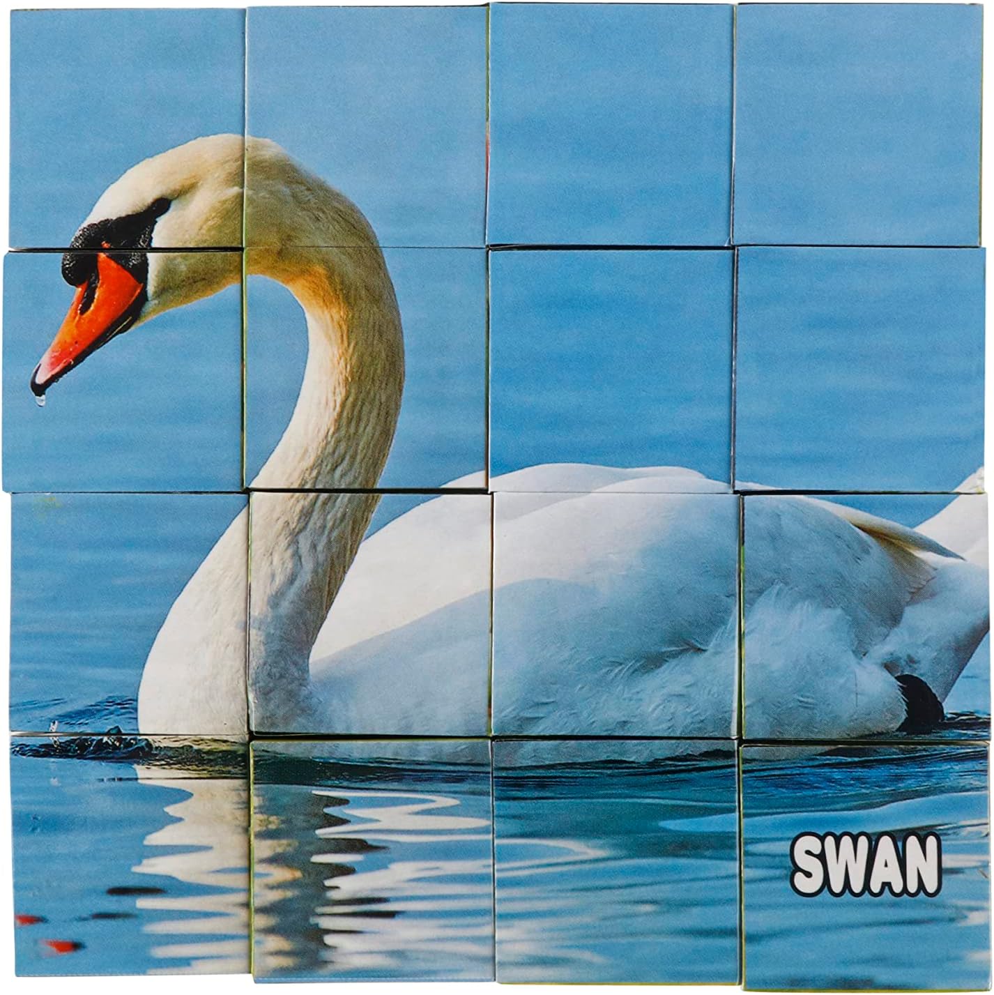 Educational Rajhans Bird Blocks