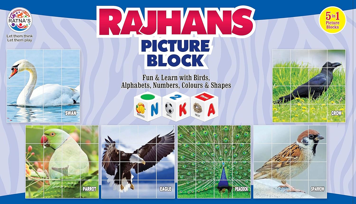 Educational Rajhans Bird Blocks