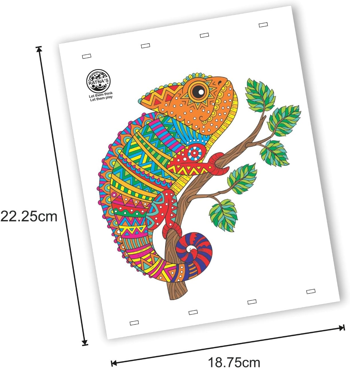Jungle Mandala Art Colouring Kit