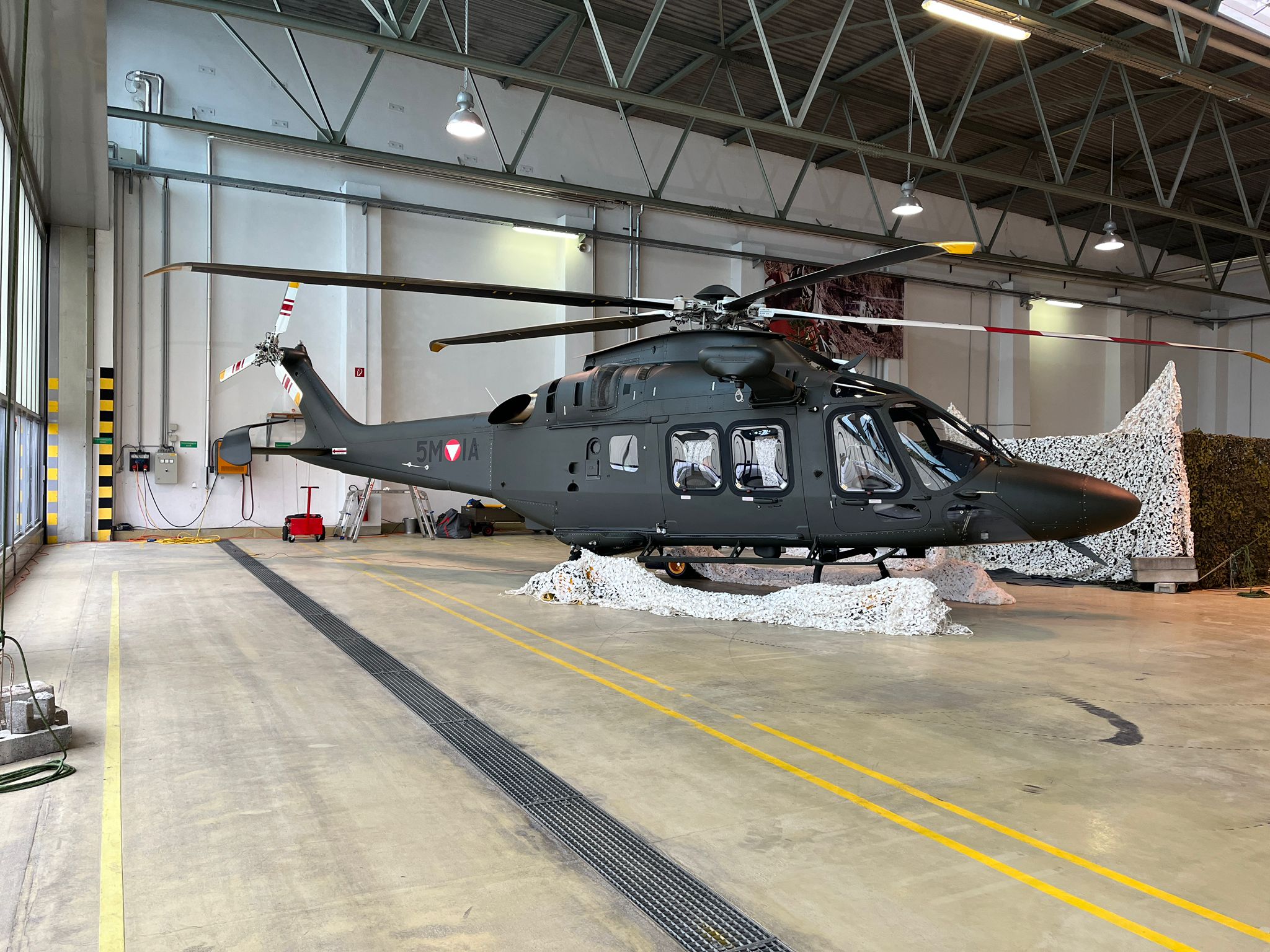 Austria Seeks Additional AW169