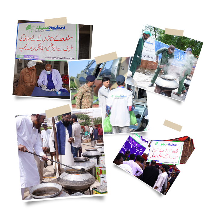 Saylani Website By Talha Saylani Website By Talha