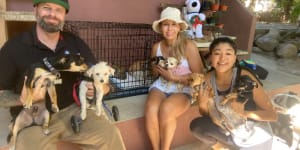 February’s Recipient of Sayulita Life’s $5,000 Donation*: Wet Noses Animal Rescue in Sayulita