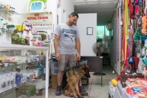 Sayulita Pets: Vets, Training, Boarding, Care, &amp; Adoption