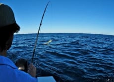 Let's Go Fishing Sayulita in Sayulita Mexico