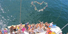 Ally Cat Sailing Adventures (Weddings) in Sayulita Mexico