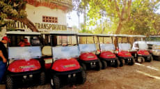 Gaby Golf Carts in Sayulita Mexico