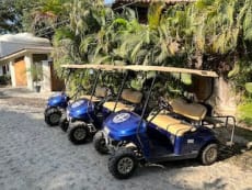 Vela Golf Carts in Sayulita Mexico