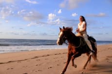 Horseback Riding Sayulita Tours in Sayulita Mexico