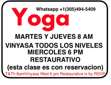 Coral Yoga Studio And Private Classes in Sayulita Mexico
