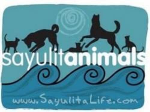 Sayulitanimals in Sayulita Mexico