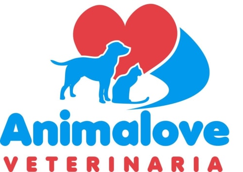 Animalove Veterinary Clinic in Sayulita Mexico