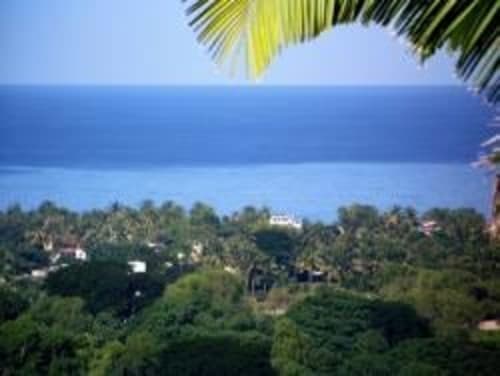 Oceanview Lots for sale in Sayulia Mexico