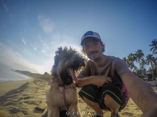 Marco Ojeda Dog Training in Sayulita Mexico