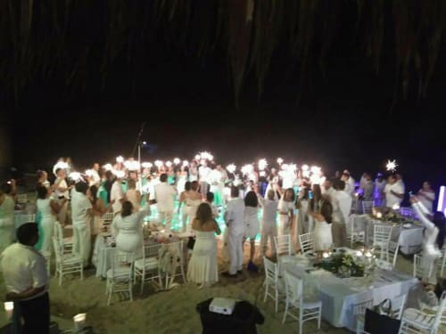 Wedding Dj Light Sound Events in Sayulita Mexico