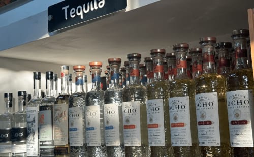 Agave Liquors in Sayulita Mexico