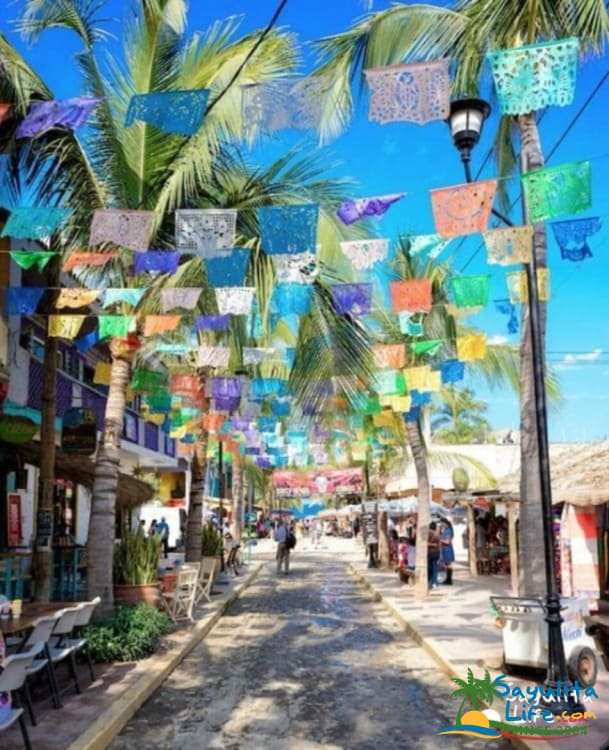 Cola De Zorro At Villas Palmas Reales In Sayulita Mexico