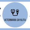 Veterinarian of Sayulita