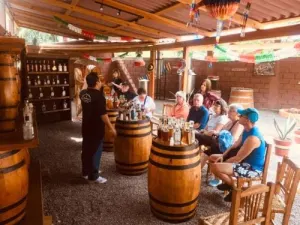 Wine, Spirits & Cigars