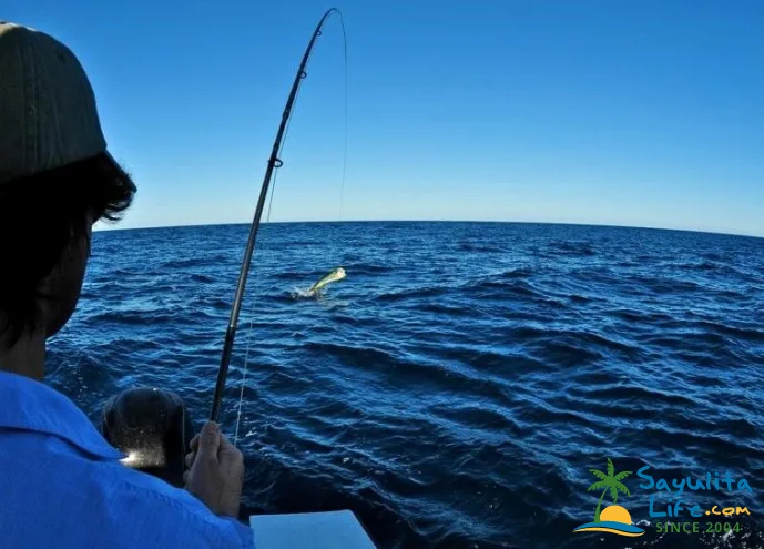Let's Go Fishing Sayulita in Sayulita Mexico