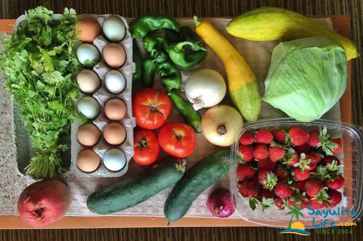 Organic Select in Sayulita Mexico