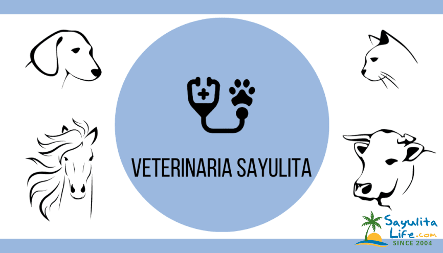 Veterinarian Of Sayulita in Sayulita Mexico