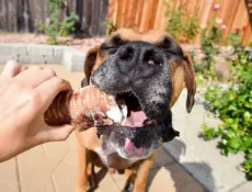 Brooklyn's All Natural in Sayulita Mexico