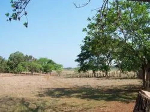 SIR231 for sale in Sayulia Mexico