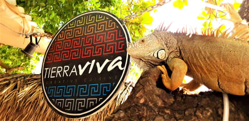 Tierra Viva Restaurant in Sayulita Mexico