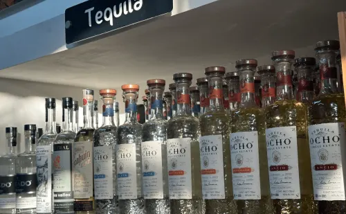 Agave Liquors in Sayulita Mexico