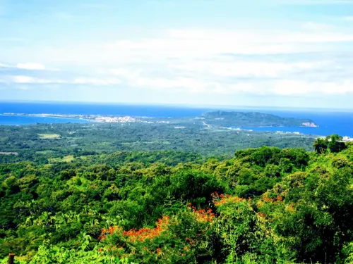 ECO PARADISE SIR101524 for sale in Sayulia Mexico