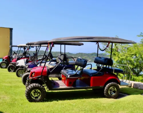 Gustavo's Golf Cart Rental & Repair in Sayulita Mexico
