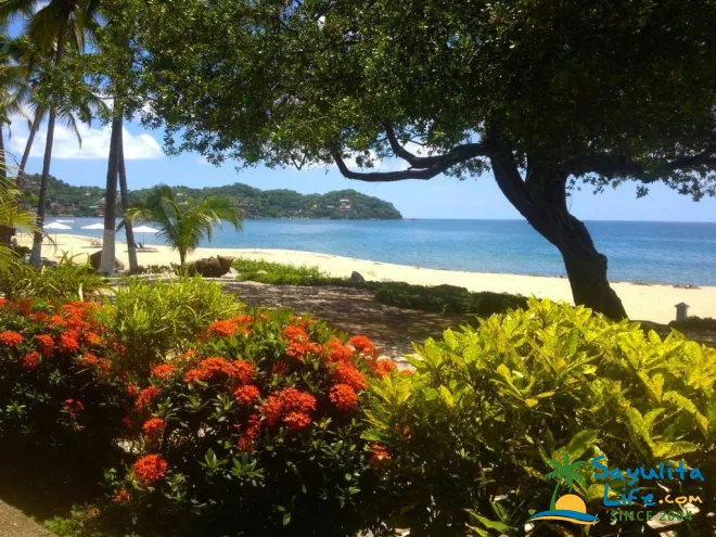 Casa Aguila Vacation Rental in Sayulita Mexico