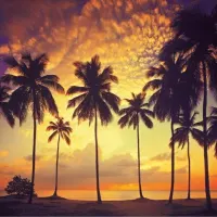 Rogelio in Sayulita Mexico