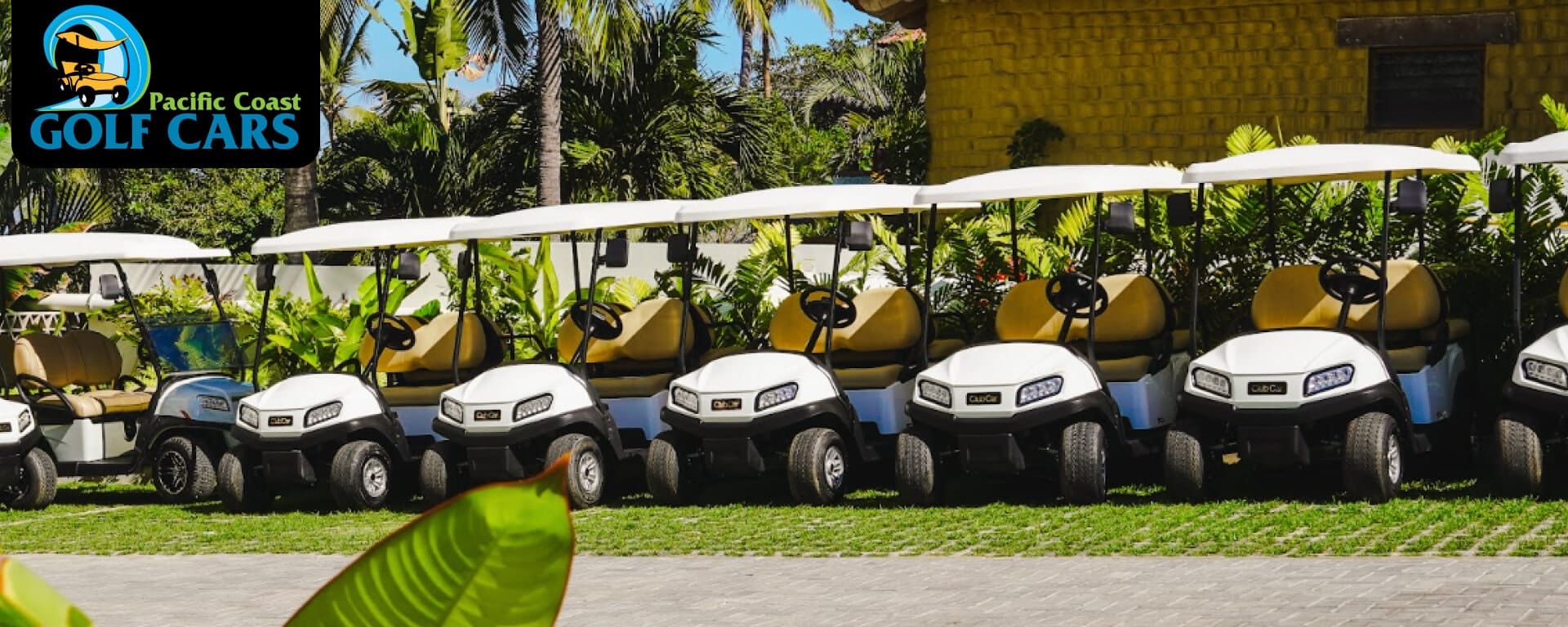 The Local Way to Roll