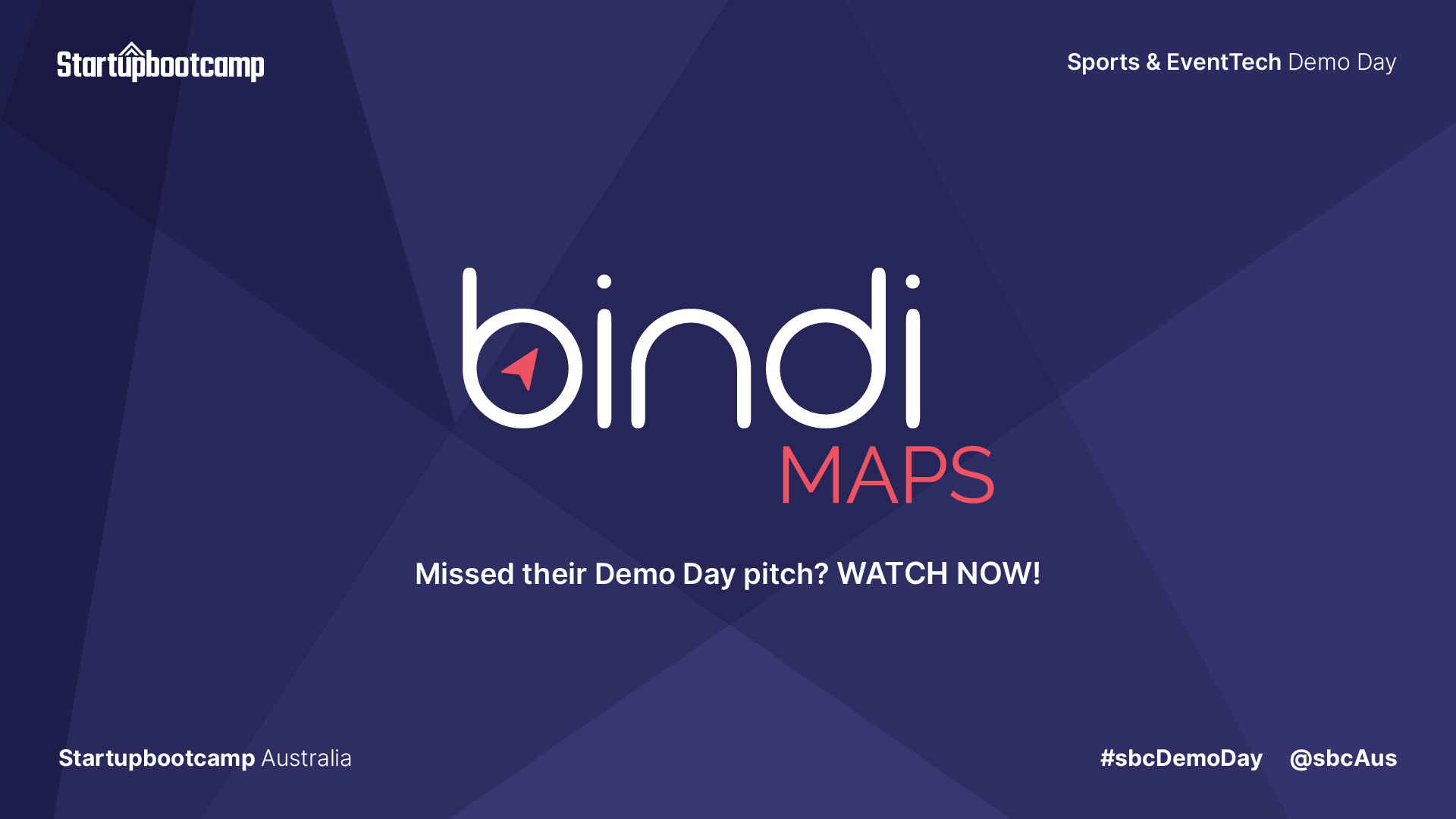 BindiMaps Q&A banner