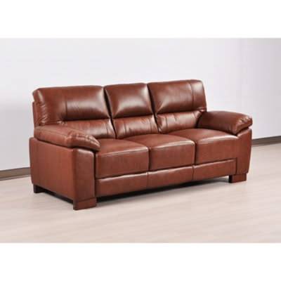 Leather Sofas