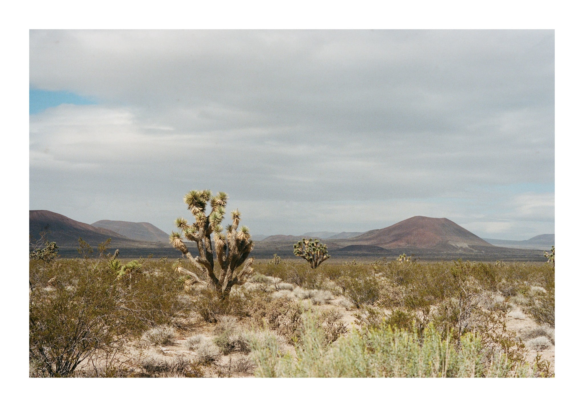 Mojave 2