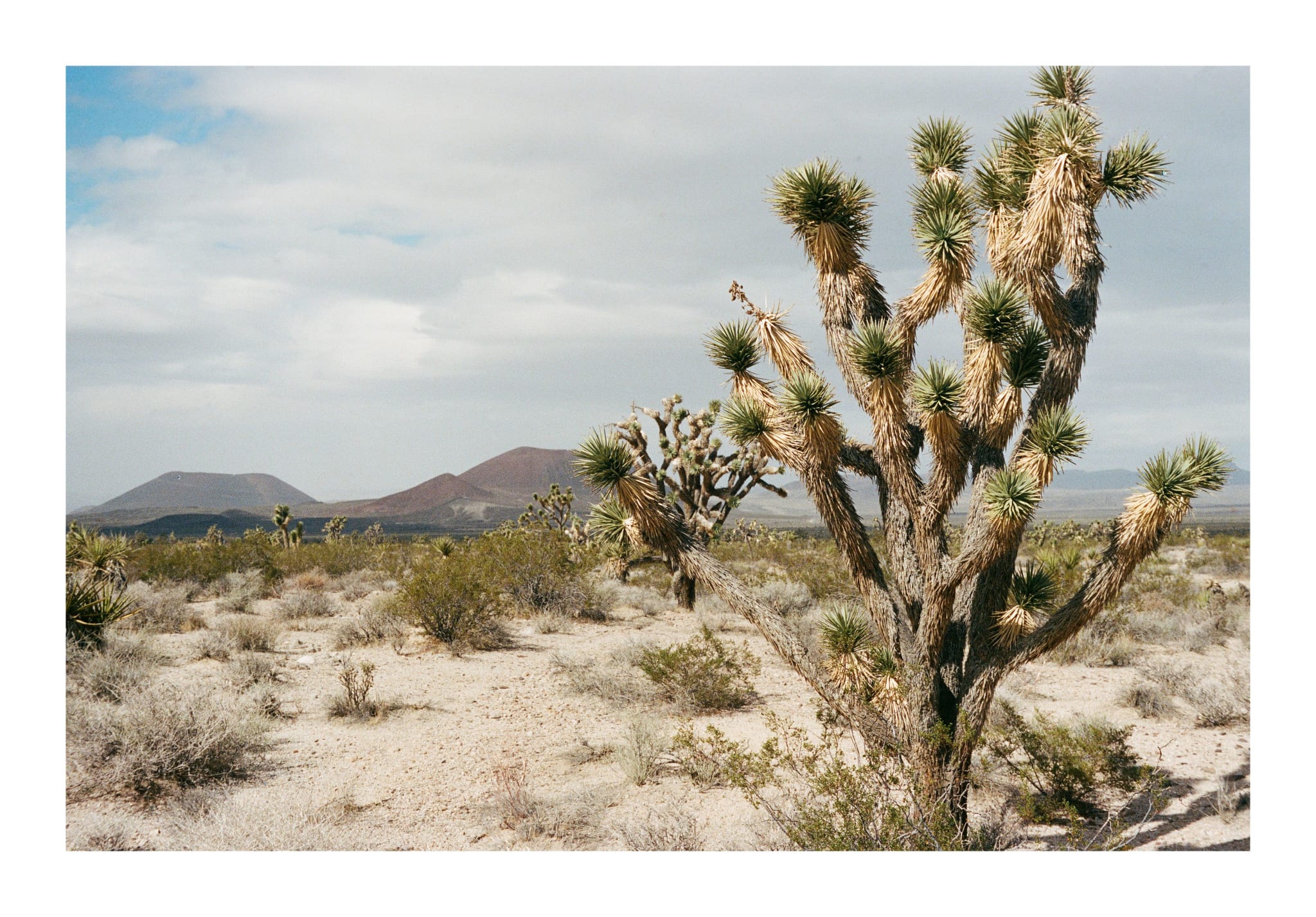 Mojave 3