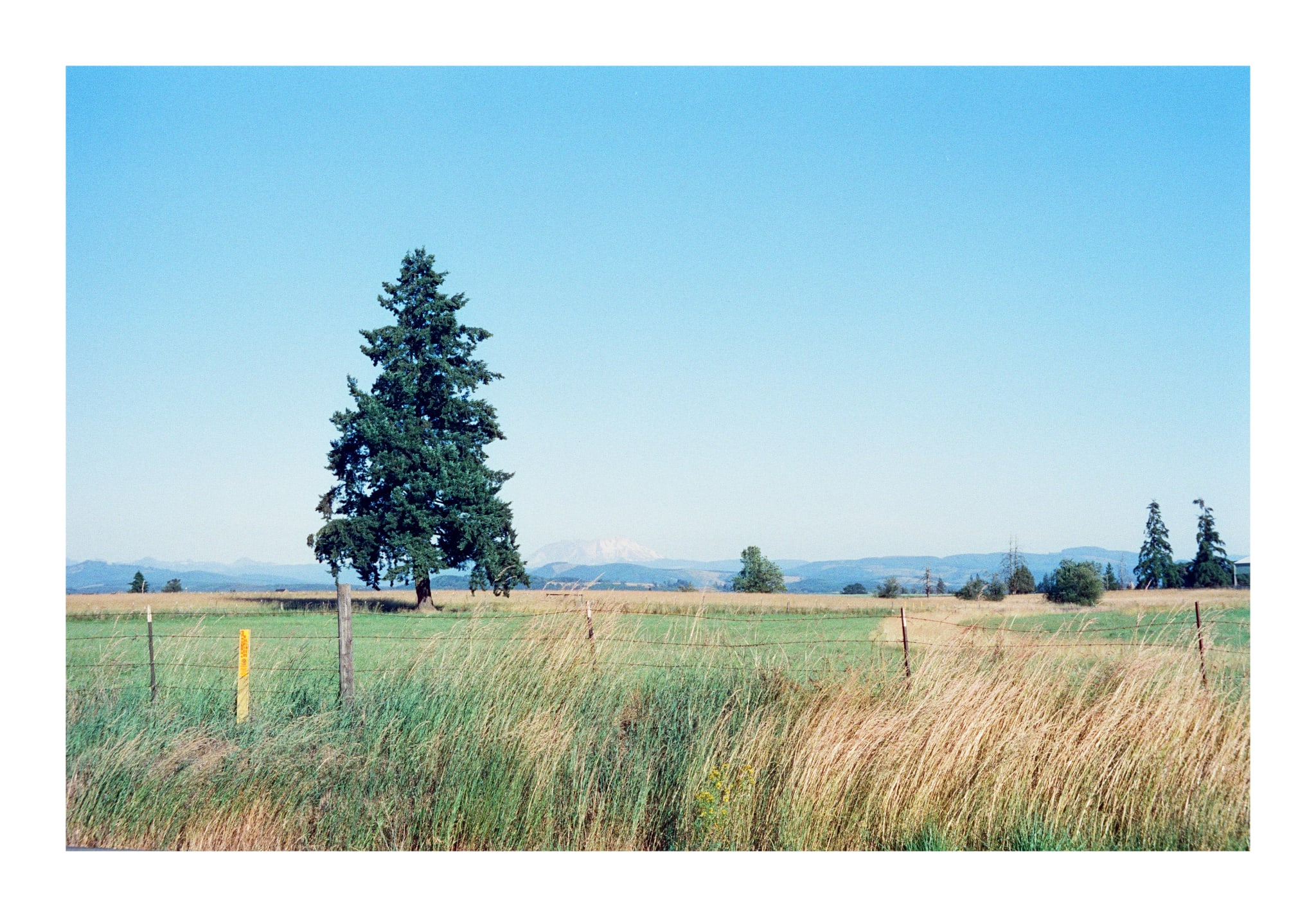 pnw ttwllj