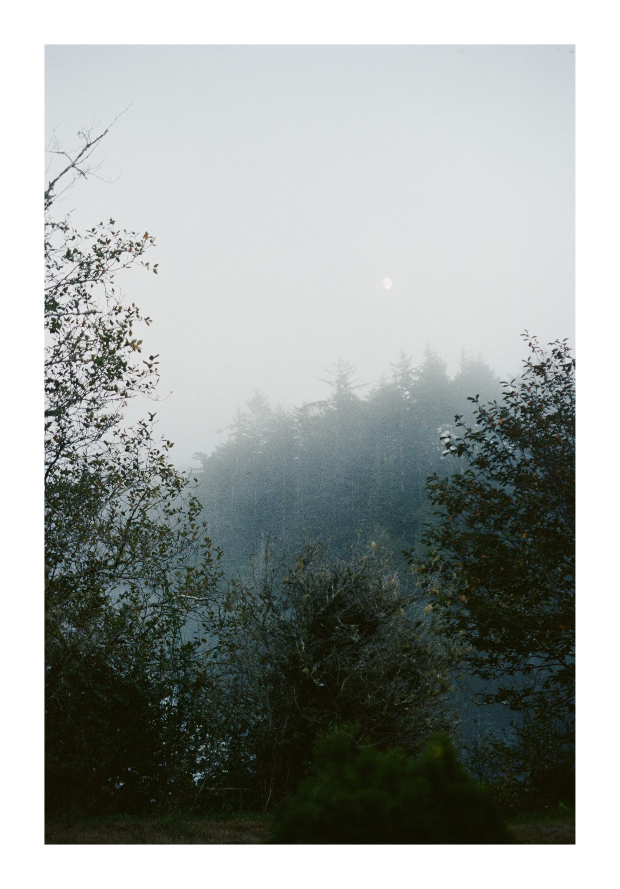Misty Pond 3